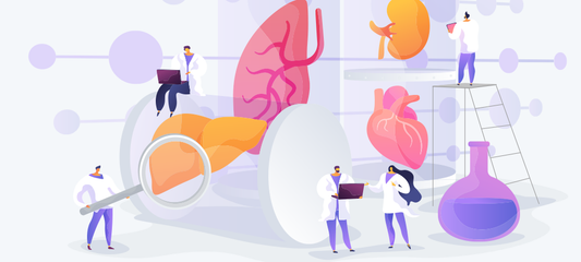 What is NAD+ and Why Is it Important?