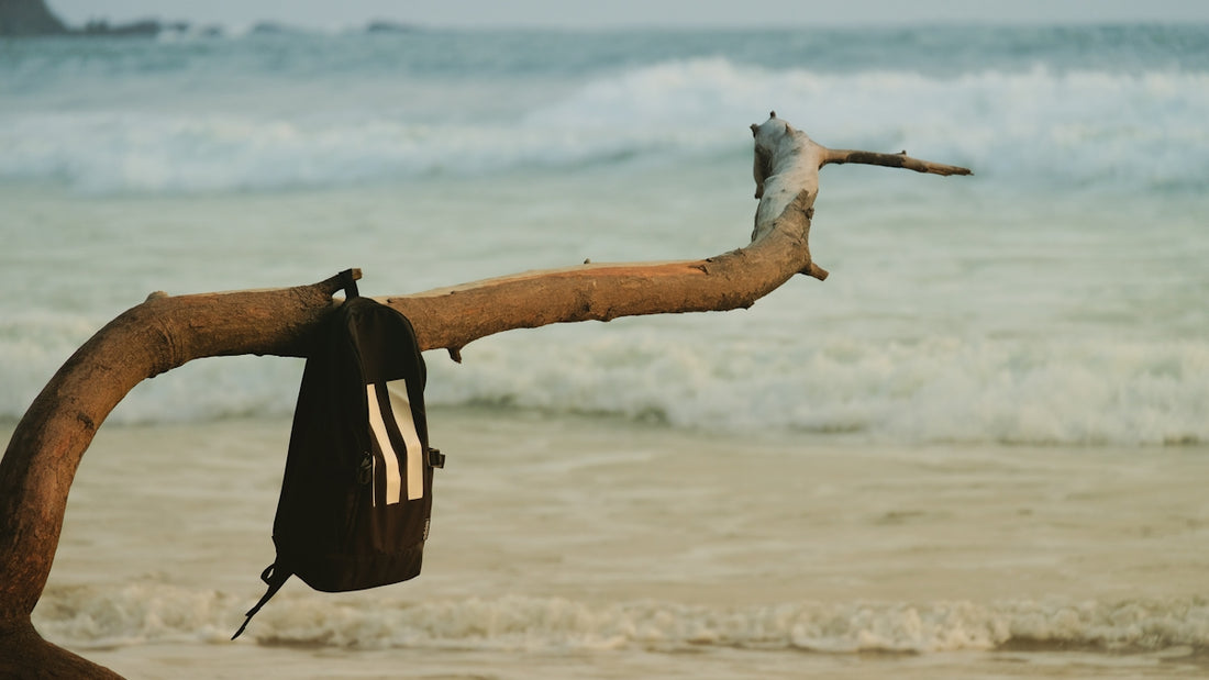a bag hanging from a tree branch on the beach