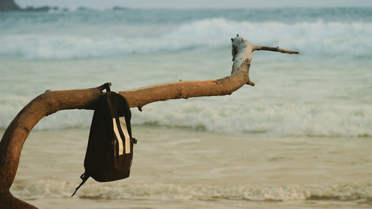 a bag hanging from a tree branch on the beach