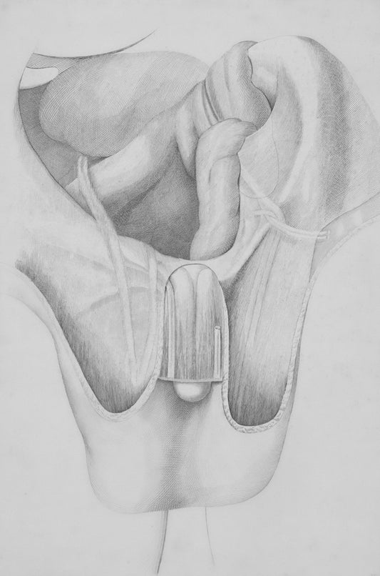 a pencil drawing of a breast