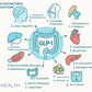 GLP-1 Support | Advanced Gut + Mobility Supplement