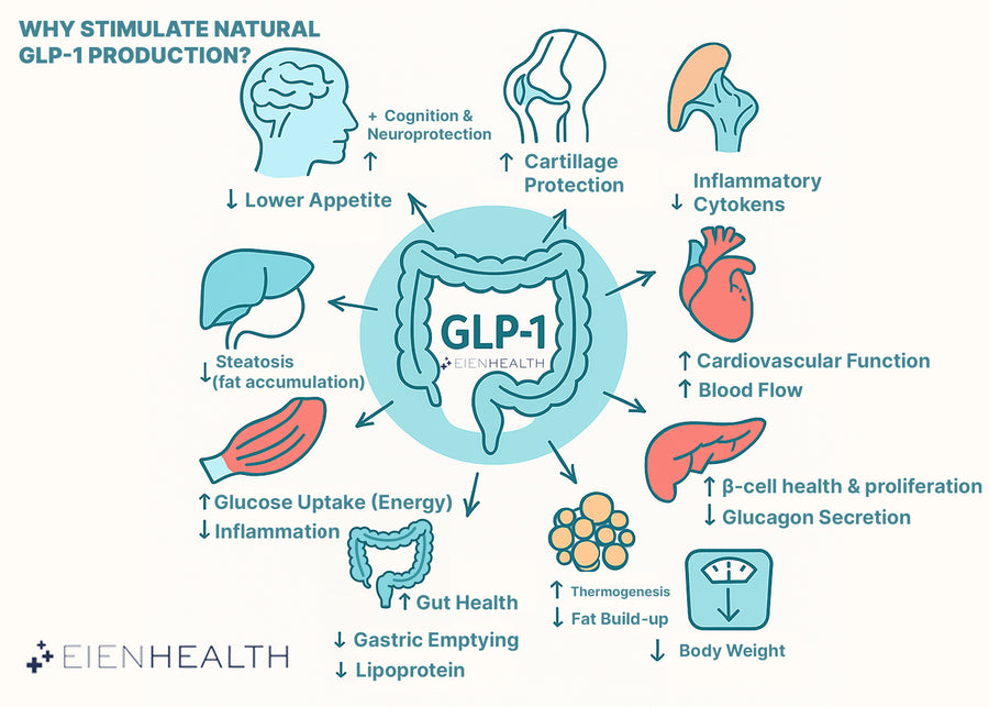 GLP-1 Support | Advanced Gut + Mobility Supplement | Eien Health GLP-1 Support | Advanced Gut + Mobility Supplement | Eien Health