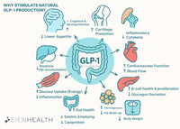 GLP-1 Support | Advanced Gut + Mobility Supplement